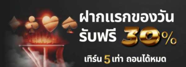 โบนัส30%